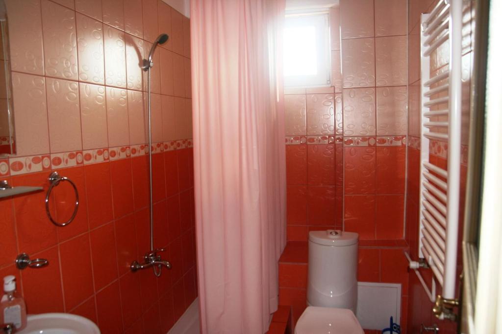 Pensiunea Sydney Timişoara Quarto foto